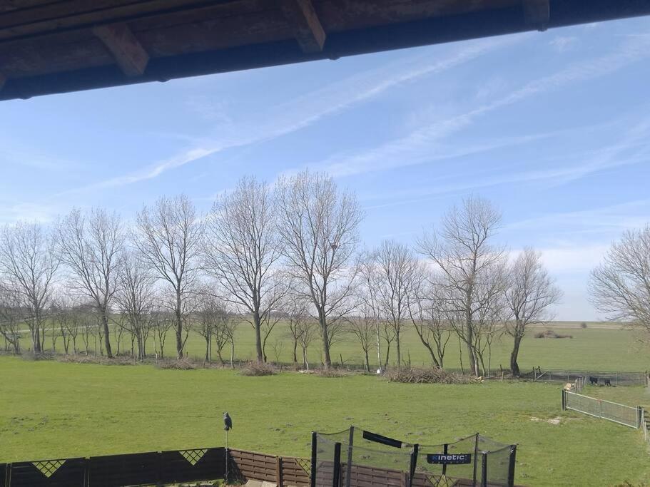Apartamento Erholung Auf Der Deichschaeferei Mit Deichblick Schillig Exterior foto